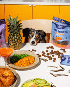 Island of Pets Fish Treats with Pumpkin & Oats 200g