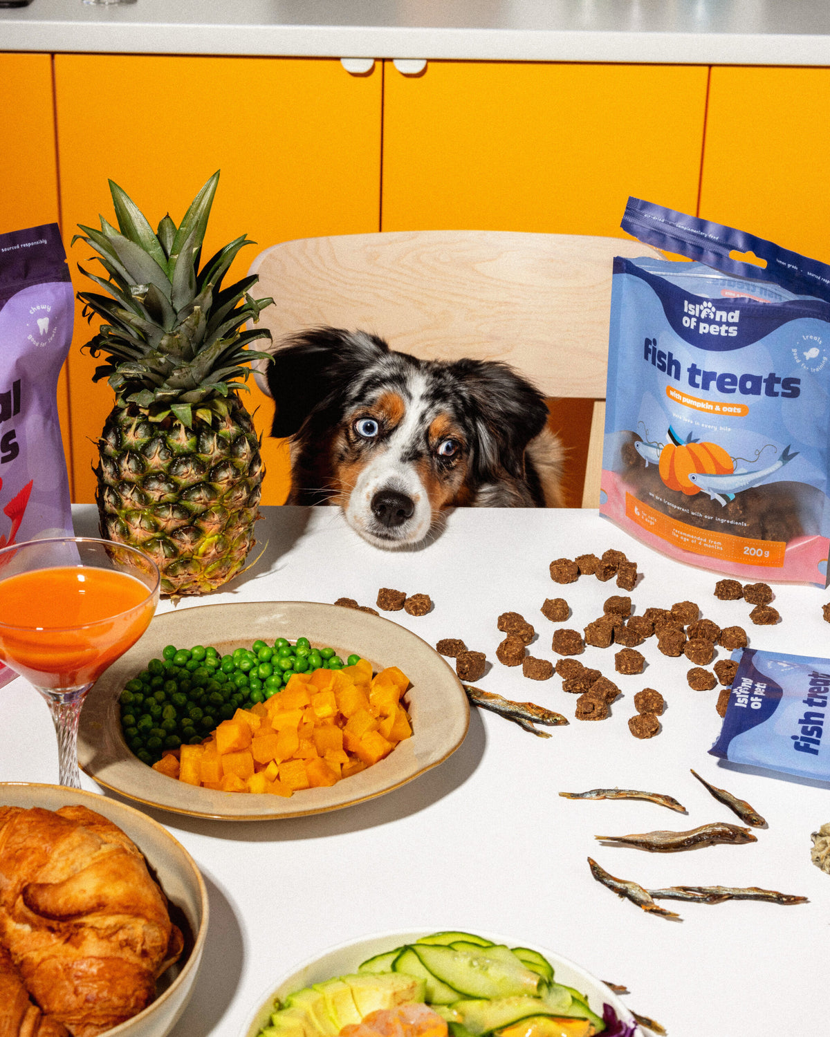 Island of Pets Fish Treats with Pumpkin & Oats 200g