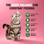 Half&Half Kitten Wet Food - Turkey recipe in Jelly 100g x22