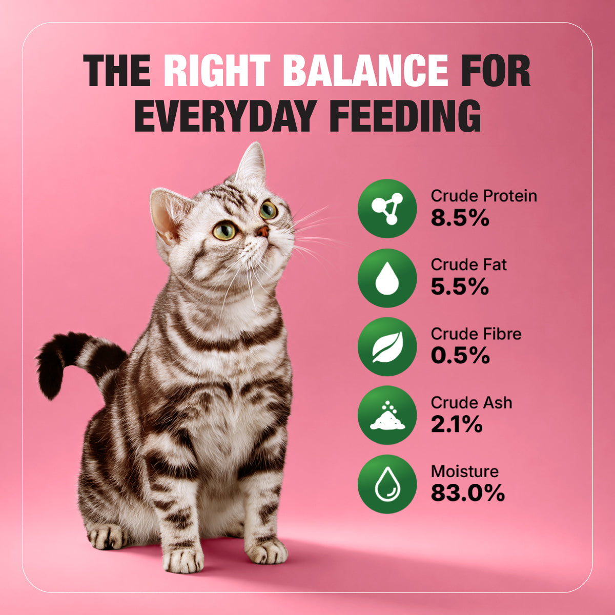 Half&Half Kitten Wet Food - Turkey recipe in Jelly 100g x22