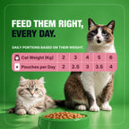 Half&Half Kitten Wet Food - Turkey recipe in Jelly 100g x22