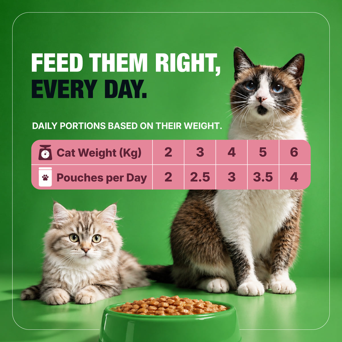 Half&Half Kitten Wet Food - Turkey recipe in Jelly 100g x22