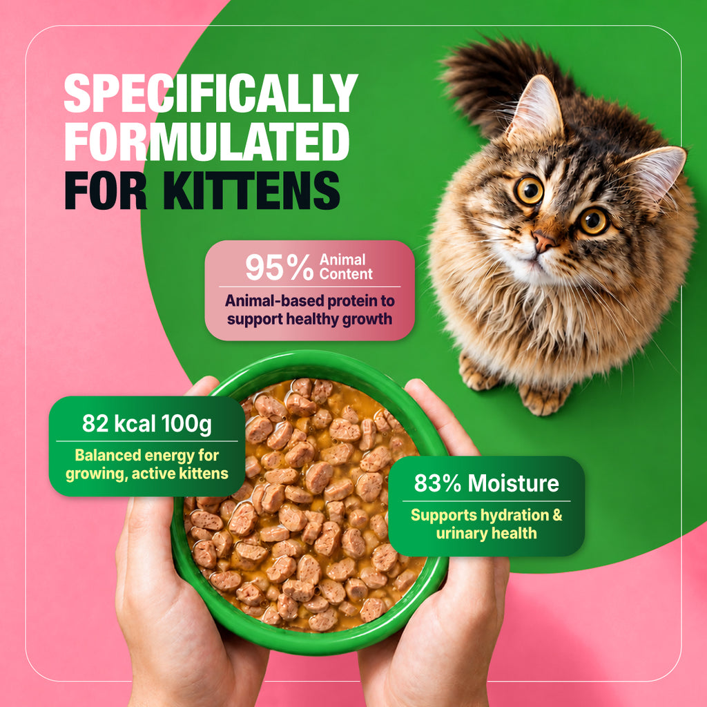 Half&Half Kitten Wet Food - Turkey recipe in Jelly 100g x22