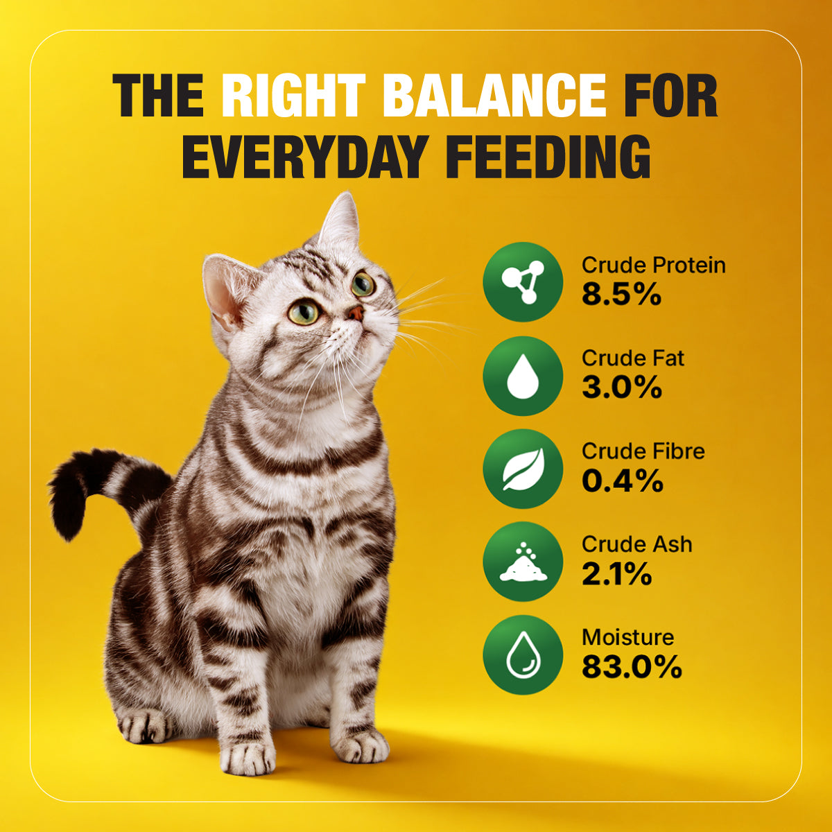 Half&Half Sterilized Cat Wet Food - Turkey recipe in Jelly 100g x22