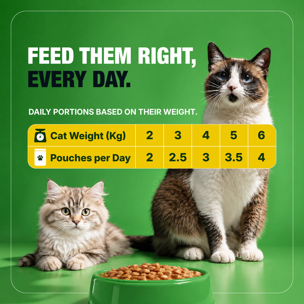 Half&Half Sterilized Cat Wet Food - Turkey recipe in Jelly 100g x22