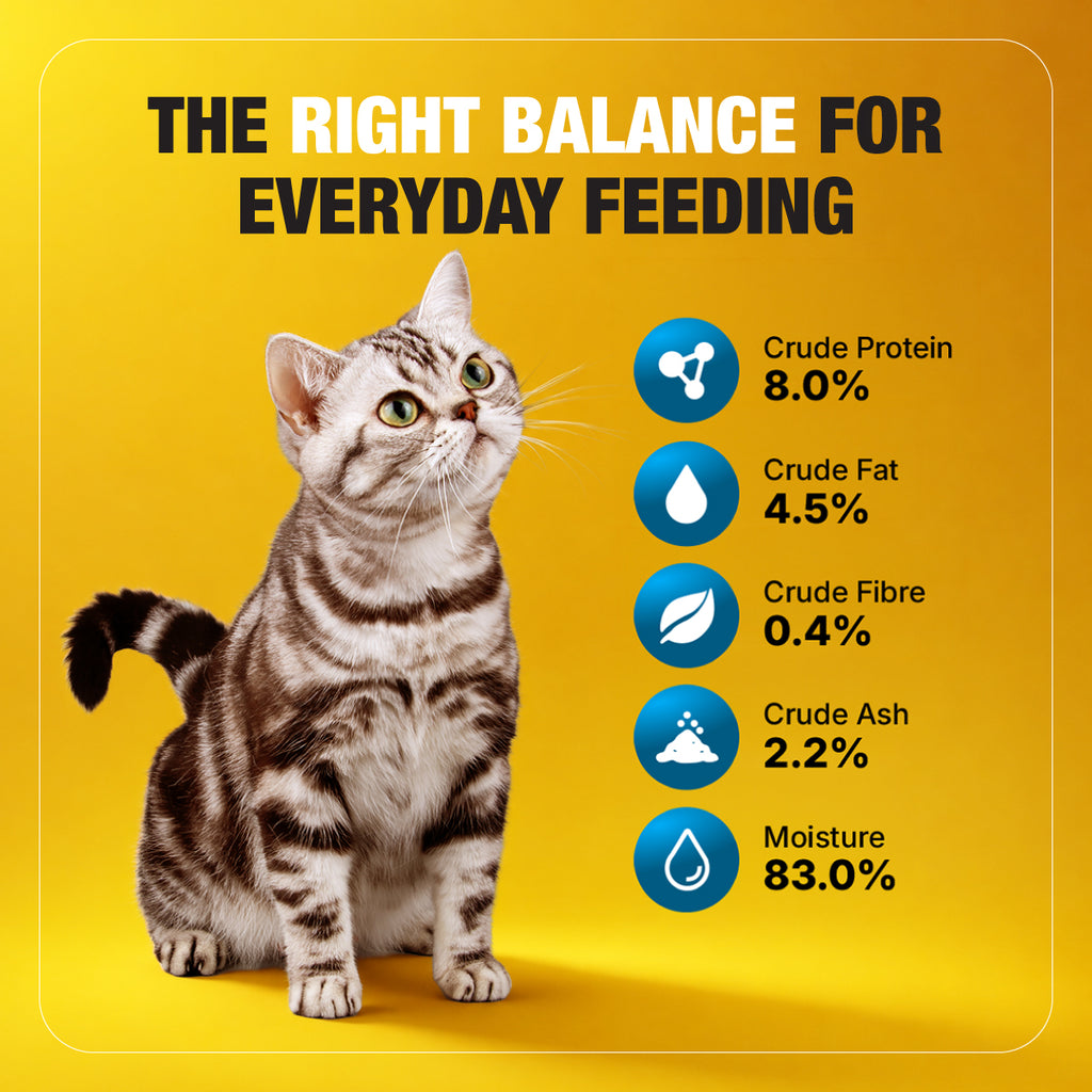 THE RIGHT BALANCE FOR EVERYDAY FEEDING