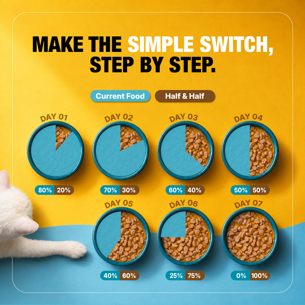 MAKE THE SIMPLE SWITCH, STEP BY STEP