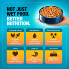 wet dog food showing a hand holding a blue bow