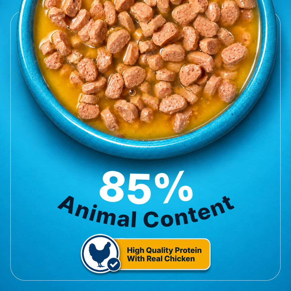 wet dog food kibble