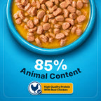 wet dog food kibble