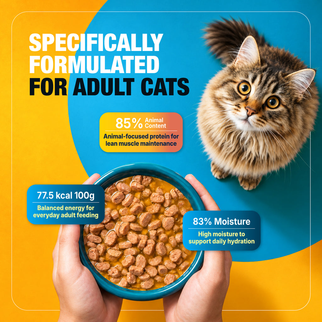 adult cat food