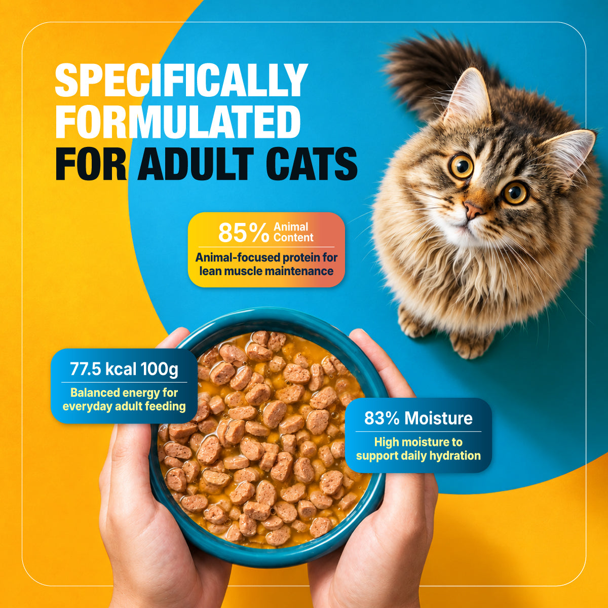 adult cat food