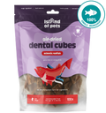 Island of Pets Air-dried Dental Cubes Atlantic Redfish 100g