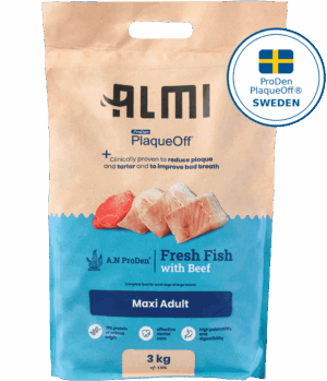 ALMI Maxi Adult 3kg